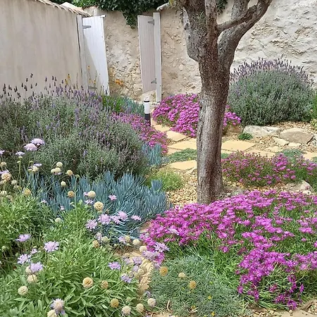 Le Des Lagunes בית נופש